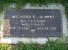 Filename=Anthony_Luebbers_US_VET.jpg
Filesize=575KiB
Dimensions=2048x1534
Date added=Sep 24, 2011 Anthony_Luebbers_US_VET.jpg