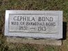 Filename=Bond,_Cephila.JPG
Filesize=237KiB
Dimensions=648x486
Date added=Oct 17, 2016 Bond,_Cephila.JPG