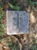 Filename=Corcoran_plot_marker_northeast_corner_treeline.jpg
Filesize=744KiB
Dimensions=1535x2048
Date added=Sep 07, 2013 Corcoran_plot_marker_northeast_corner_treeline.jpg
