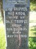 Filename=Eva_nee_Koob_Trippel.jpg
Filesize=598KiB
Dimensions=1534x2048
Date added=Sep 24, 2011 Eva_nee_Koob_Trippel.jpg
