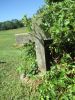 Filename=Jones,_M_E_Homemade_Corss_overgrown.jpg
Filesize=1102KiB
Dimensions=1341x1788
Date added=Nov 24, 2013 Jones,_M_E_Homemade_Corss_overgrown.jpg