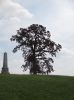 Filename=Julia_Sparks_monument_hilltop_tree.jpg
Filesize=357KiB
Dimensions=1535x2048
Date added=Sep 07, 2013 Julia_Sparks_monument_hilltop_tree.jpg