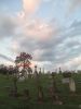 Filename=Older_German_sites_section_G.jpg
Filesize=255KiB
Dimensions=1536x2048
Date added=Sep 06, 2013 Older_German_sites_section_G.jpg