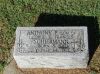 Filename=Schiermann,_Anthony_P_Sec_I_10-42_Infant_son_of_George_and_Frances_Schiermann.jpg
Filesize=618KiB
Dimensions=1190x892
Date added=Oct 12, 2013 Schiermann,_Anthony_P_Sec_I_10-42_Infant_son_of_George_and_Frances_Schiermann.jpg