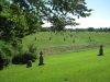 Filename=Section_I_looking_hillside_to_Section_G_east.jpg
Filesize=711KiB
Dimensions=2048x1536
Date added=Sep 07, 2013 Section_I_looking_hillside_to_Section_G_east.jpg