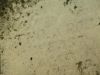 Filename=Weast,_Charlie_close-up.jpg
Filesize=422KiB
Dimensions=2048x1536
Date added=Sep 08, 2013 Weast,_Charlie_close-up.jpg