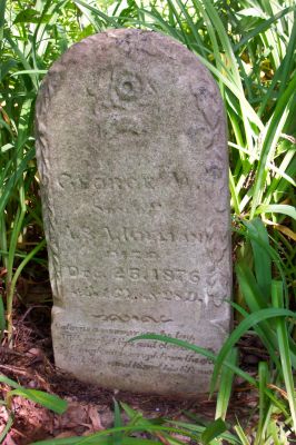 Frogtown Photo Album