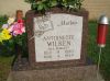 Filename=Cemetery_Pic_Index_071.jpg
Filesize=1272KiB
Dimensions=2048x1534
Date added=Sep 22, 2011 Cemetery_Pic_Index_071.jpg