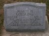 Filename=Goesling,_August_H.jpg
Filesize=1012KiB
Dimensions=2048x1533
Date added=Mar 13, 2011 Goesling,_August_H.jpg