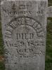 Filename=Johnston,_John.jpg
Filesize=1062KiB
Dimensions=1533x2048
Date added=Mar 13, 2011 Johnston,_John.jpg